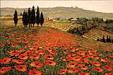 Hills Canvas Paintings - Hills of Tuscany I